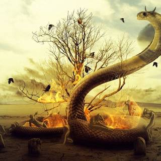Snakes on fire wallpaper