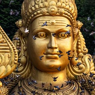 Malaysia Murugan desktop wallpaper