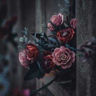 Dark photography wallpaper