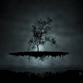 Dark photography wallpaper