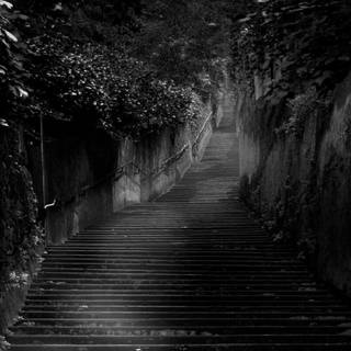 Dark photography wallpaper