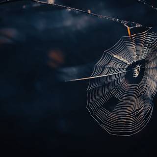 Dark photography wallpaper