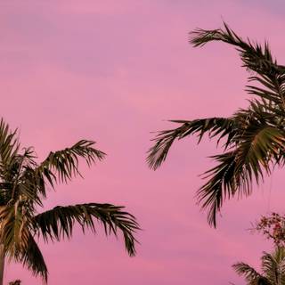 Cute pink stuff wallpaper