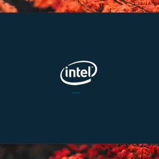 Intel Celeron wallpaper