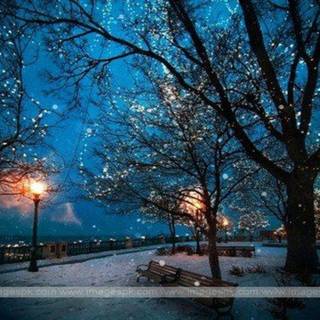 Winter nights desktop wallpaper