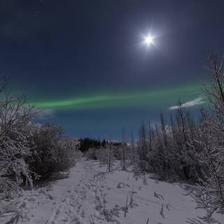 Winter nights desktop wallpaper