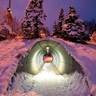 Winter nights desktop wallpaper