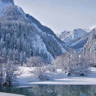 iPhone winter ice wallpaper