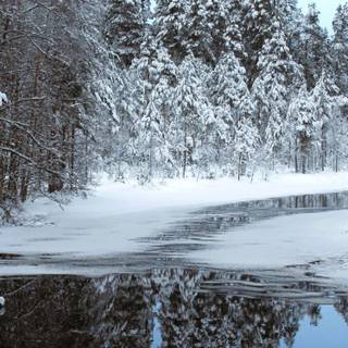 iPhone winter ice wallpaper