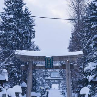 Tori gate winter wallpaper
