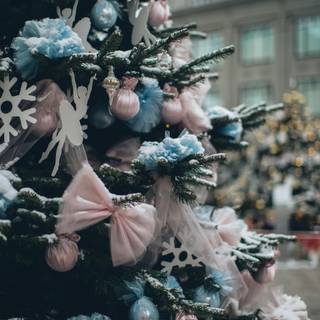 Outdoor Christmas trees wallpaper