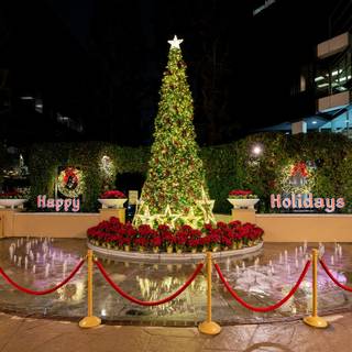 Outdoor Christmas trees wallpaper