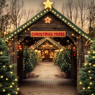 Outdoor Christmas trees wallpaper