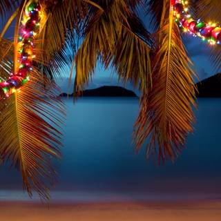 Christmas palm trees wallpaper