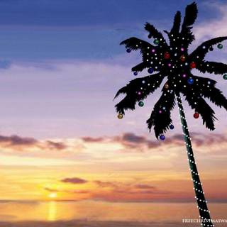 Christmas palm trees wallpaper