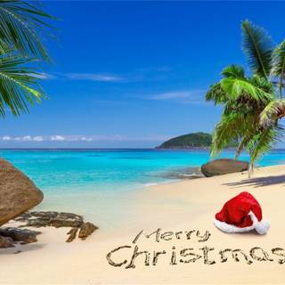 Christmas palm trees wallpaper