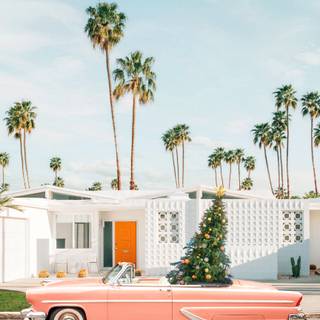 Christmas palm trees wallpaper