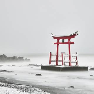 Tori gate winter wallpaper