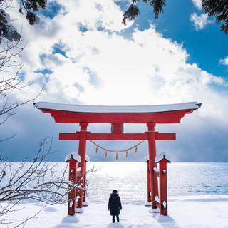 Tori gate winter wallpaper