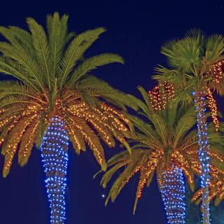 Christmas palm trees wallpaper