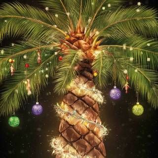Christmas palm trees wallpaper