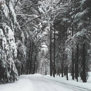 Winter Christ Christmas wallpaper