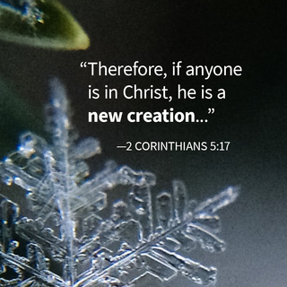 Winter Christ Christmas wallpaper