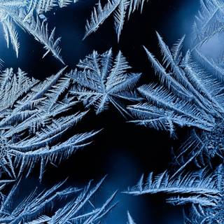 Minimal winter pattern iPad wallpaper