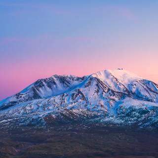 Pantone winter wallpaper