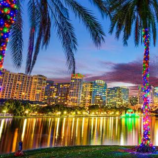 Christmas Miami wallpaper