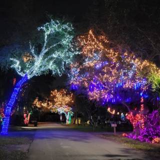 Christmas Miami wallpaper