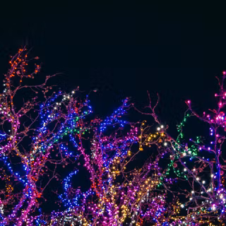 Christmas lights night wallpaper