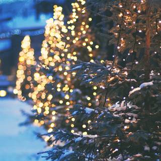 Christmas lights night wallpaper