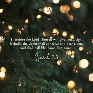 Christmas Jesus quotes wallpaper