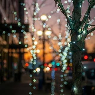 Christmas lights night wallpaper