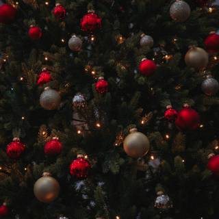 Christmas Jingle Bells wallpaper