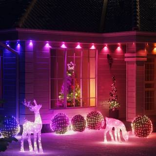 Christmas lights house wallpaper