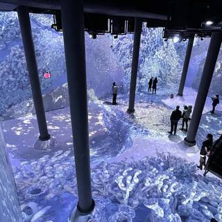 Pantone winter wallpaper