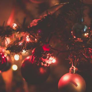 Christmas macro wallpaper