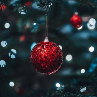 Christmas macro wallpaper