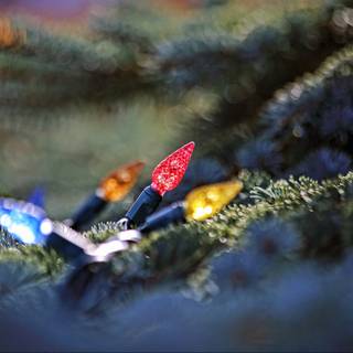 Christmas macro wallpaper