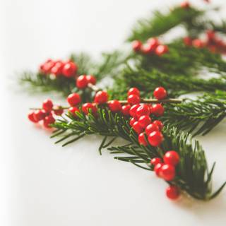 Christmas macro wallpaper