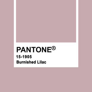 Pantone winter wallpaper