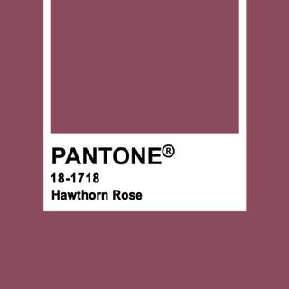 Pantone winter wallpaper