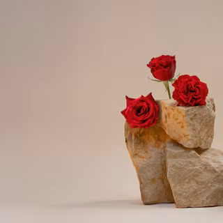 Valentine's Day 2026 wallpaper