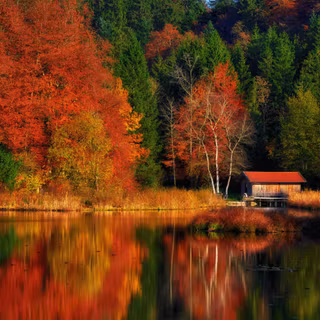 4k cabin autumn wallpaper