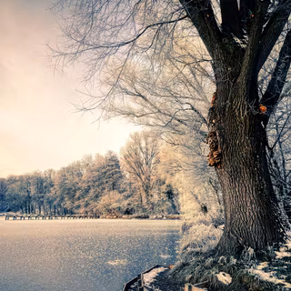 Winter frozen lake wallpaper