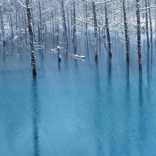 Winter frozen lake wallpaper