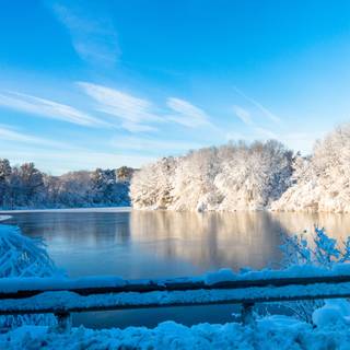 Winter frozen lake wallpaper