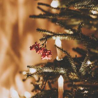 Christmas iPhone preppy wallpaper